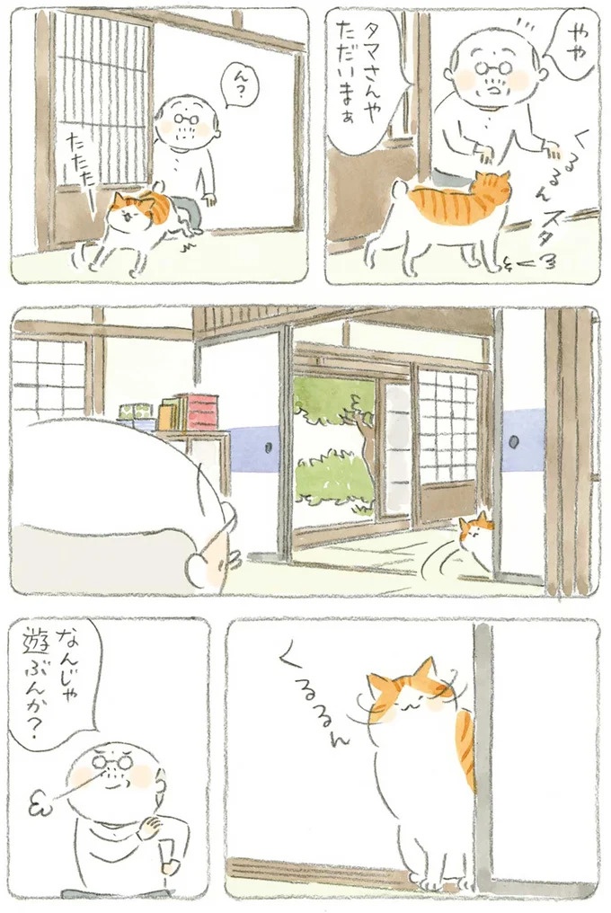 通り雨にじいちゃんと猫が仲良く雨宿り。ここは、じいちゃんとばあちゃんと猫の町／ねことじいちゃん4（画像14/187枚目）