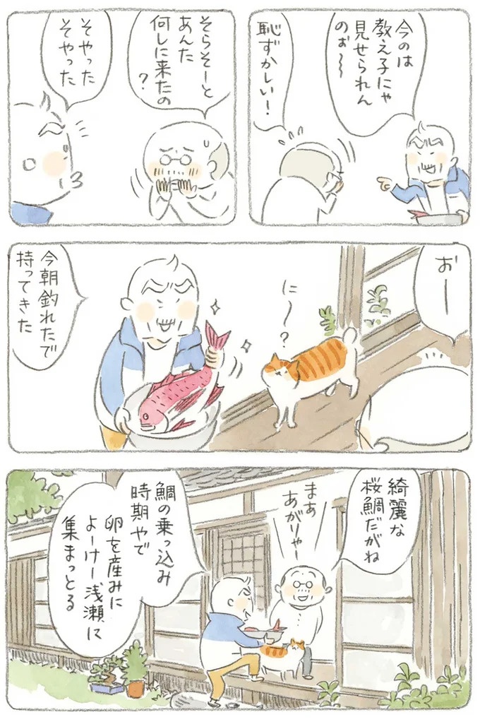 通り雨にじいちゃんと猫が仲良く雨宿り。ここは、じいちゃんとばあちゃんと猫の町／ねことじいちゃん4（画像21/187枚目）