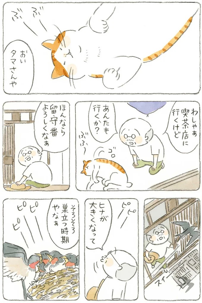 通り雨にじいちゃんと猫が仲良く雨宿り。ここは、じいちゃんとばあちゃんと猫の町／ねことじいちゃん4（画像46/187枚目）