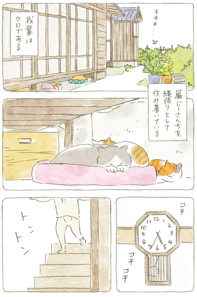 通り雨にじいちゃんと猫が仲良く雨宿り。ここは、じいちゃんとばあちゃんと猫の町／ねことじいちゃん4（画像63/187枚目）