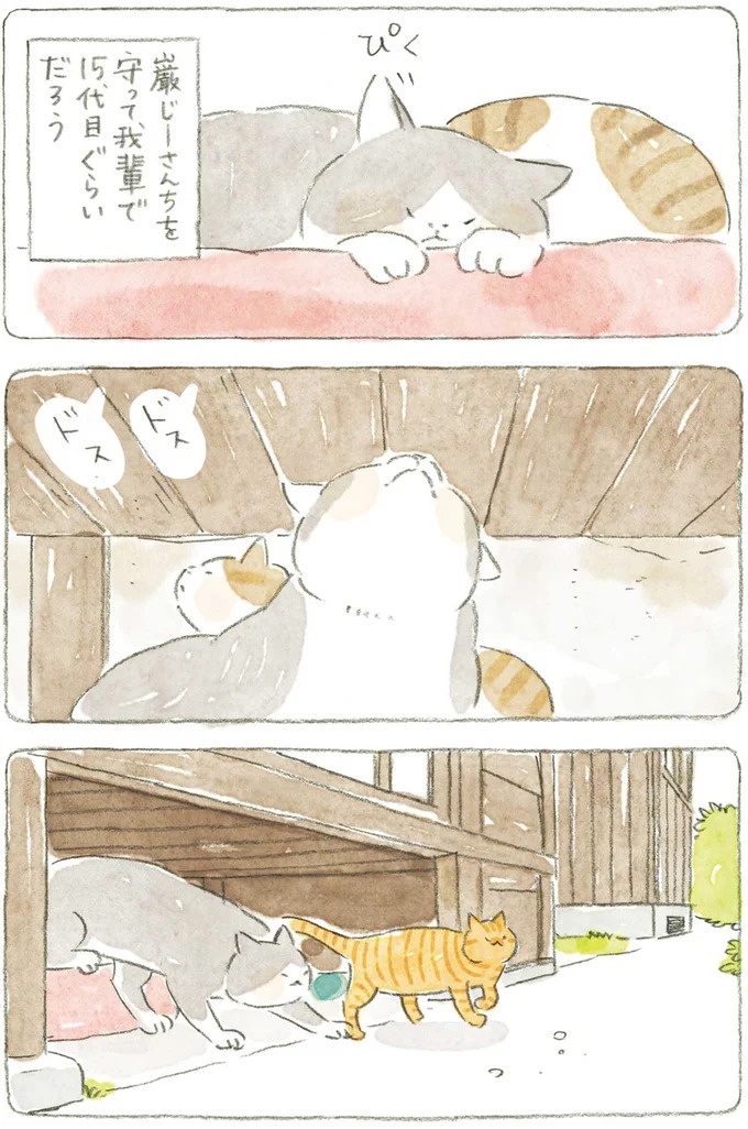 通り雨にじいちゃんと猫が仲良く雨宿り。ここは、じいちゃんとばあちゃんと猫の町／ねことじいちゃん4（画像64/187枚目）