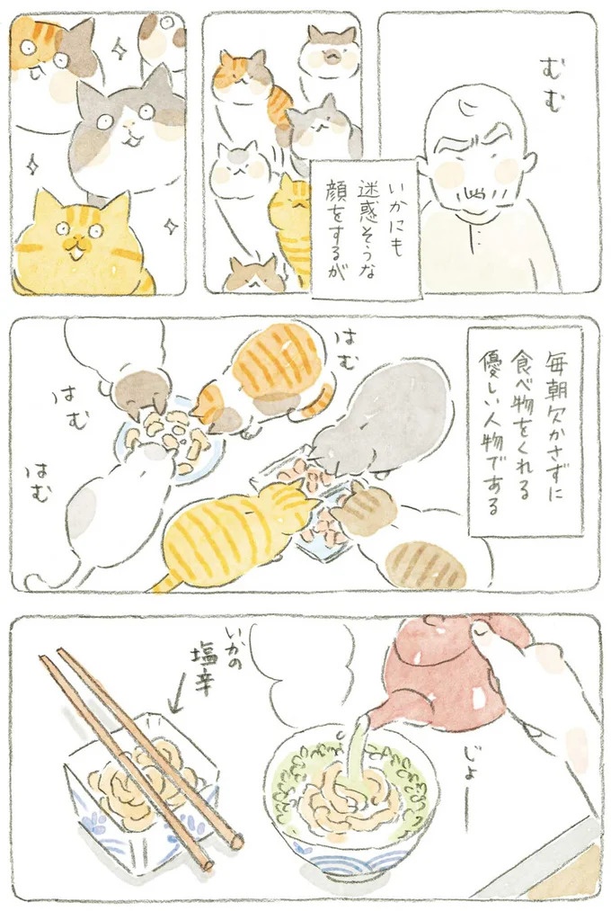 通り雨にじいちゃんと猫が仲良く雨宿り。ここは、じいちゃんとばあちゃんと猫の町／ねことじいちゃん4（画像67/187枚目）