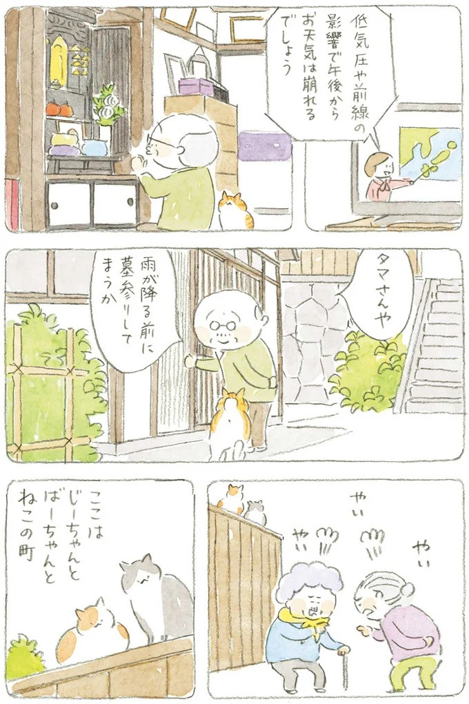 通り雨にじいちゃんと猫が仲良く雨宿り。ここは、じいちゃんとばあちゃんと猫の町／ねことじいちゃん4（画像71/187枚目）