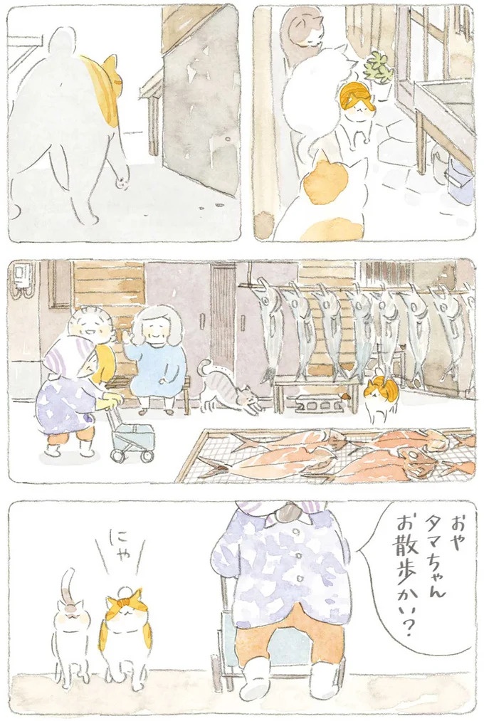 通り雨にじいちゃんと猫が仲良く雨宿り。ここは、じいちゃんとばあちゃんと猫の町／ねことじいちゃん4（画像124/187枚目）