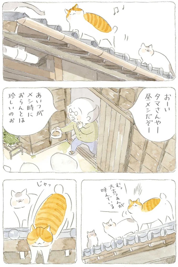 通り雨にじいちゃんと猫が仲良く雨宿り。ここは、じいちゃんとばあちゃんと猫の町／ねことじいちゃん4（画像129/187枚目）