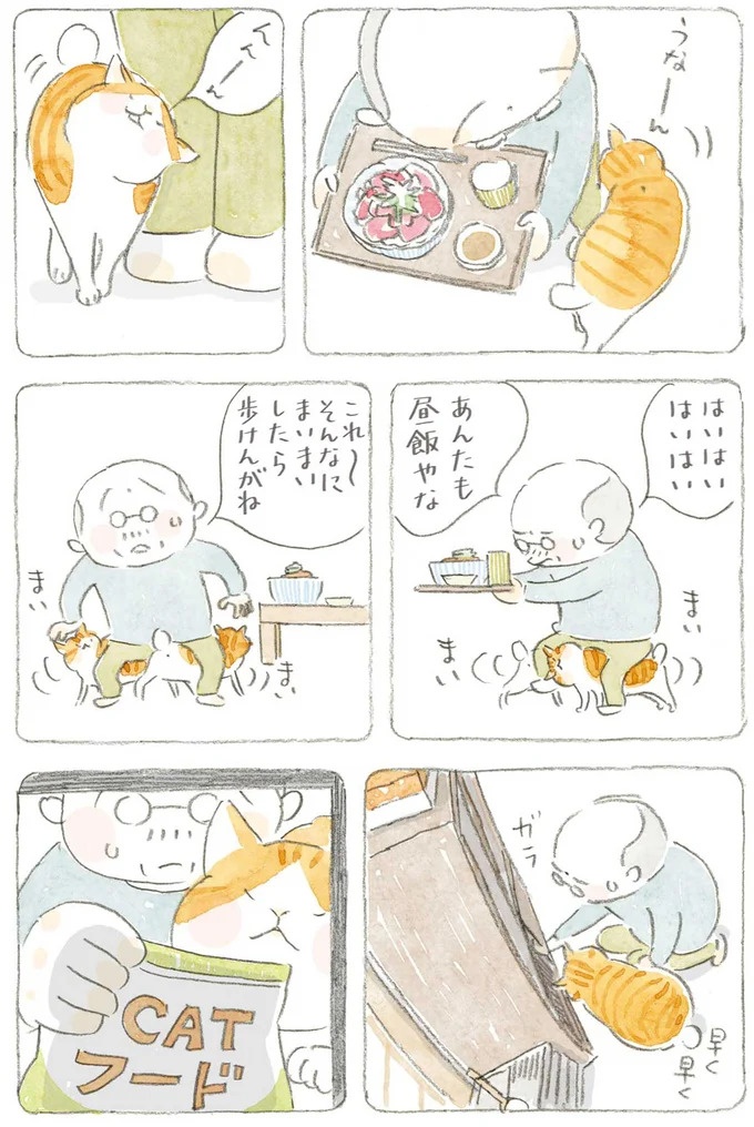 通り雨にじいちゃんと猫が仲良く雨宿り。ここは、じいちゃんとばあちゃんと猫の町／ねことじいちゃん4（画像137/187枚目）