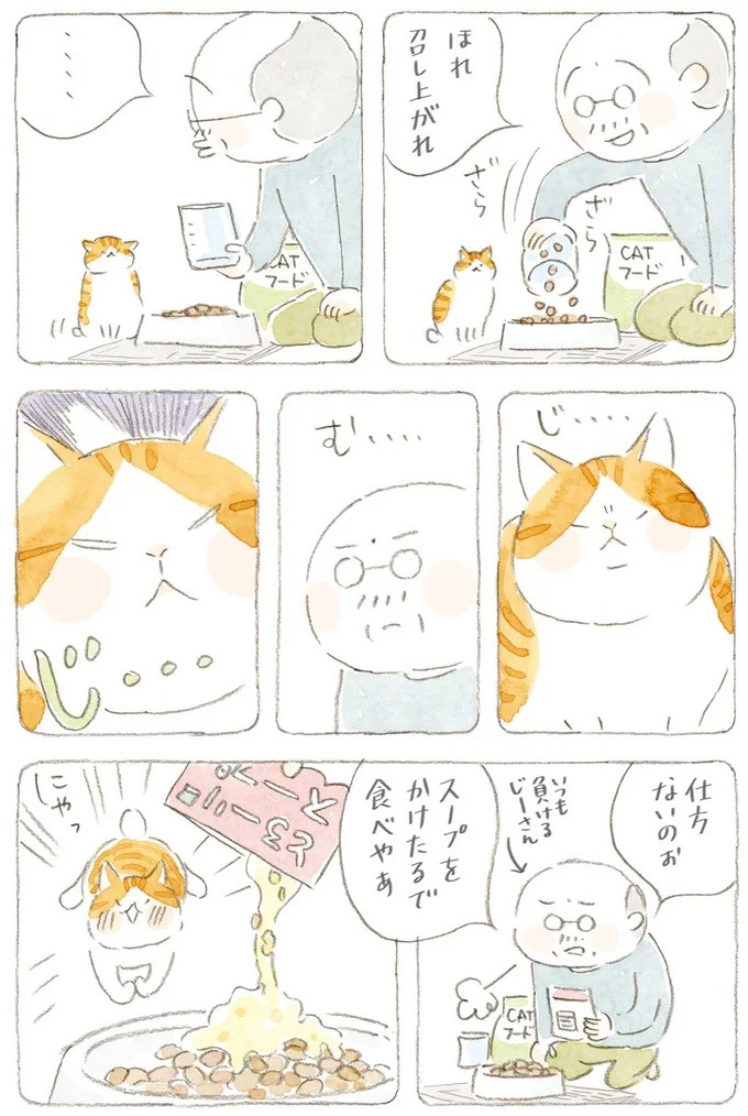 通り雨にじいちゃんと猫が仲良く雨宿り。ここは、じいちゃんとばあちゃんと猫の町／ねことじいちゃん4（画像138/187枚目）