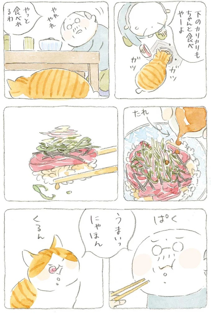 通り雨にじいちゃんと猫が仲良く雨宿り。ここは、じいちゃんとばあちゃんと猫の町／ねことじいちゃん4（画像139/187枚目）