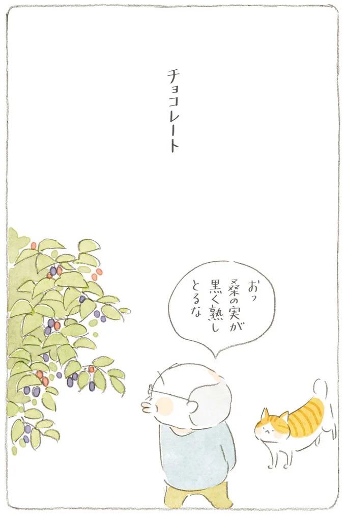 通り雨にじいちゃんと猫が仲良く雨宿り。ここは、じいちゃんとばあちゃんと猫の町／ねことじいちゃん4（画像162/187枚目）