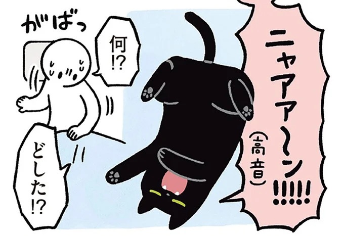 何!? どした!? 愛猫が午前3時に「ニャアアーン！」で飼い主を叩き起こす／黒猫ろんと暮らしたら3（画像1/157枚目）