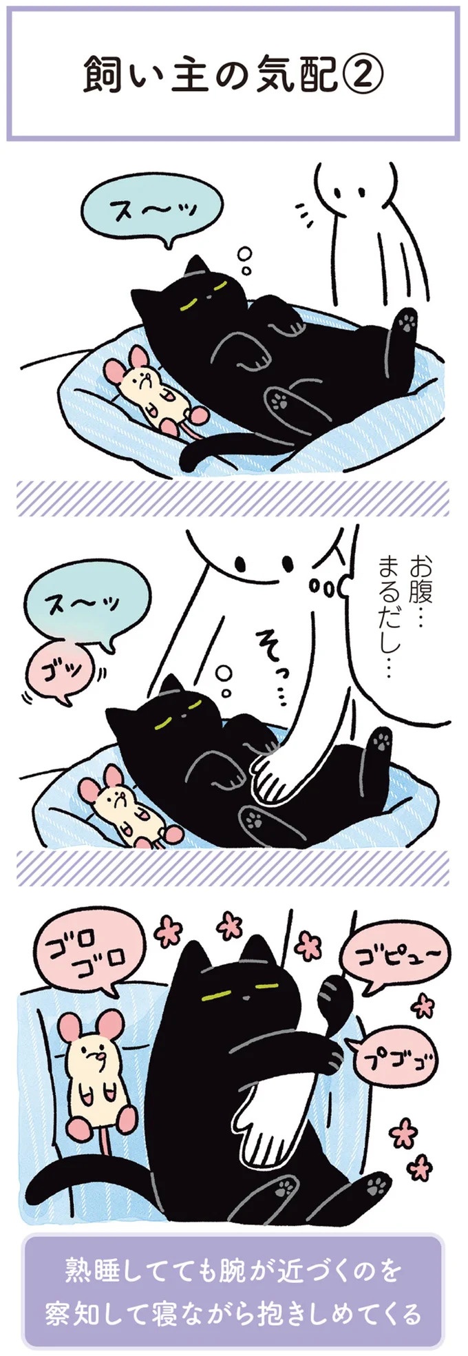 何!? どした!? 愛猫が午前3時に「ニャアアーン！」で飼い主を叩き起こす／黒猫ろんと暮らしたら3（画像76/157枚目）