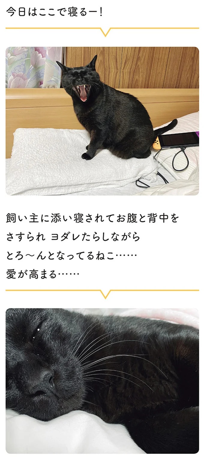 何!? どした!? 愛猫が午前3時に「ニャアアーン！」で飼い主を叩き起こす／黒猫ろんと暮らしたら3（画像121/157枚目）
