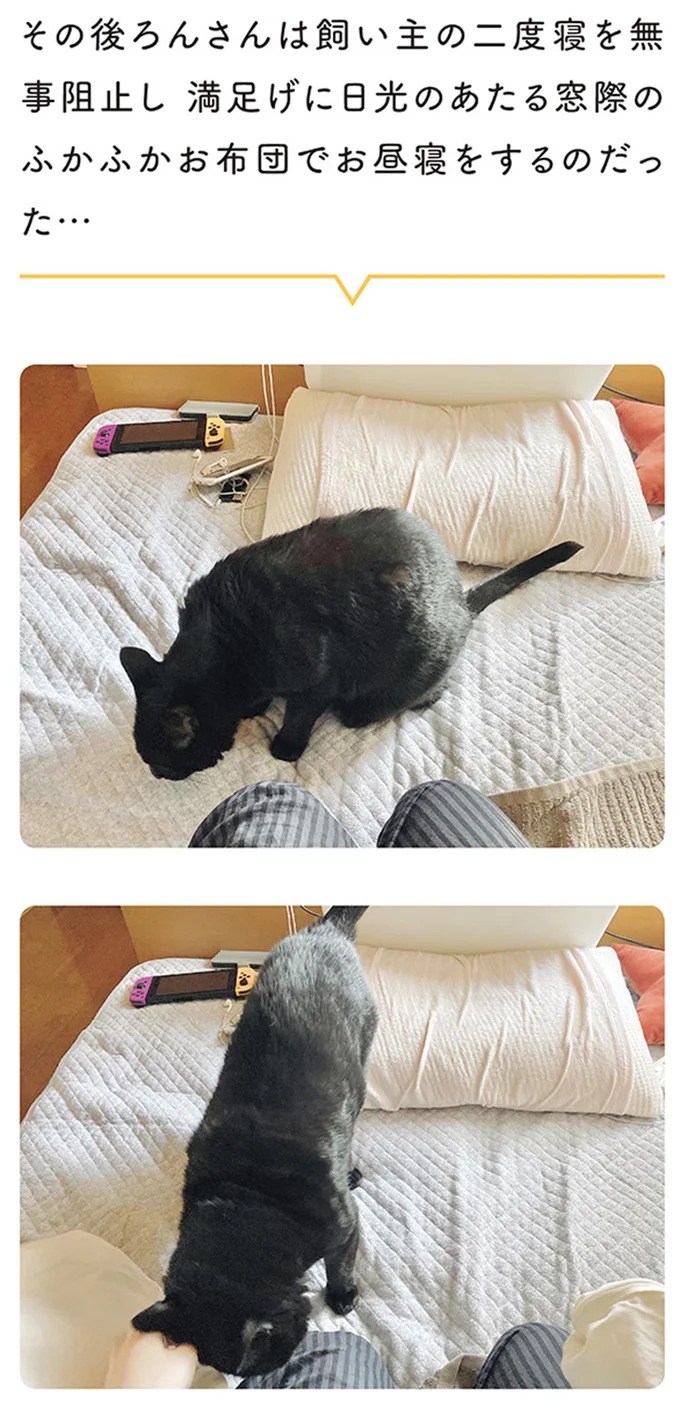 何!? どした!? 愛猫が午前3時に「ニャアアーン！」で飼い主を叩き起こす／黒猫ろんと暮らしたら3（画像128/157枚目）