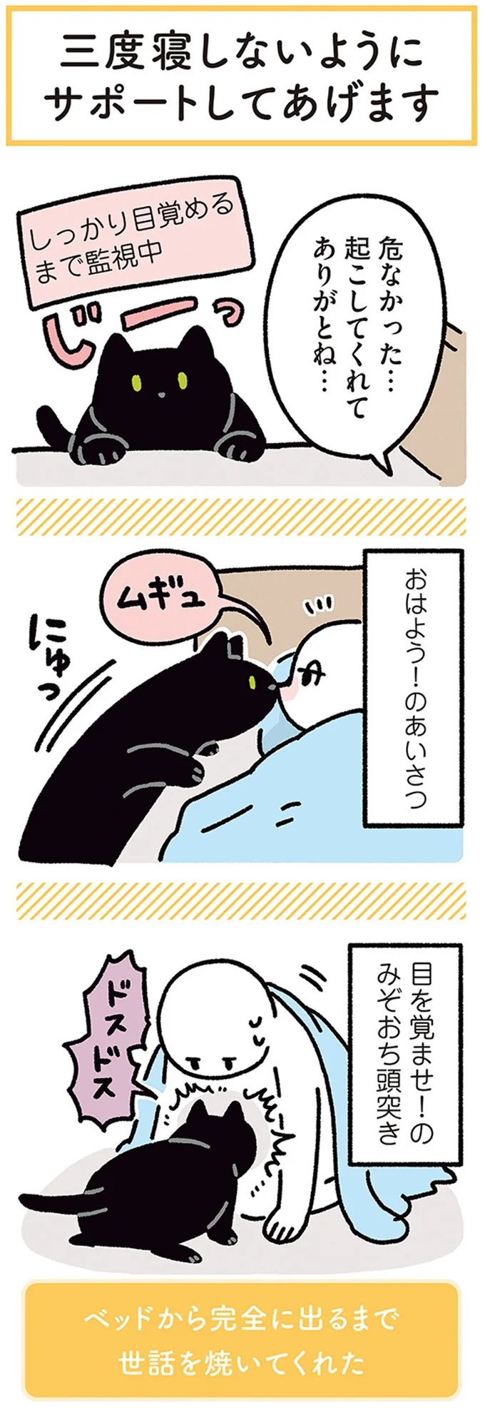 何!? どした!? 愛猫が午前3時に「ニャアアーン！」で飼い主を叩き起こす／黒猫ろんと暮らしたら3（画像133/157枚目）