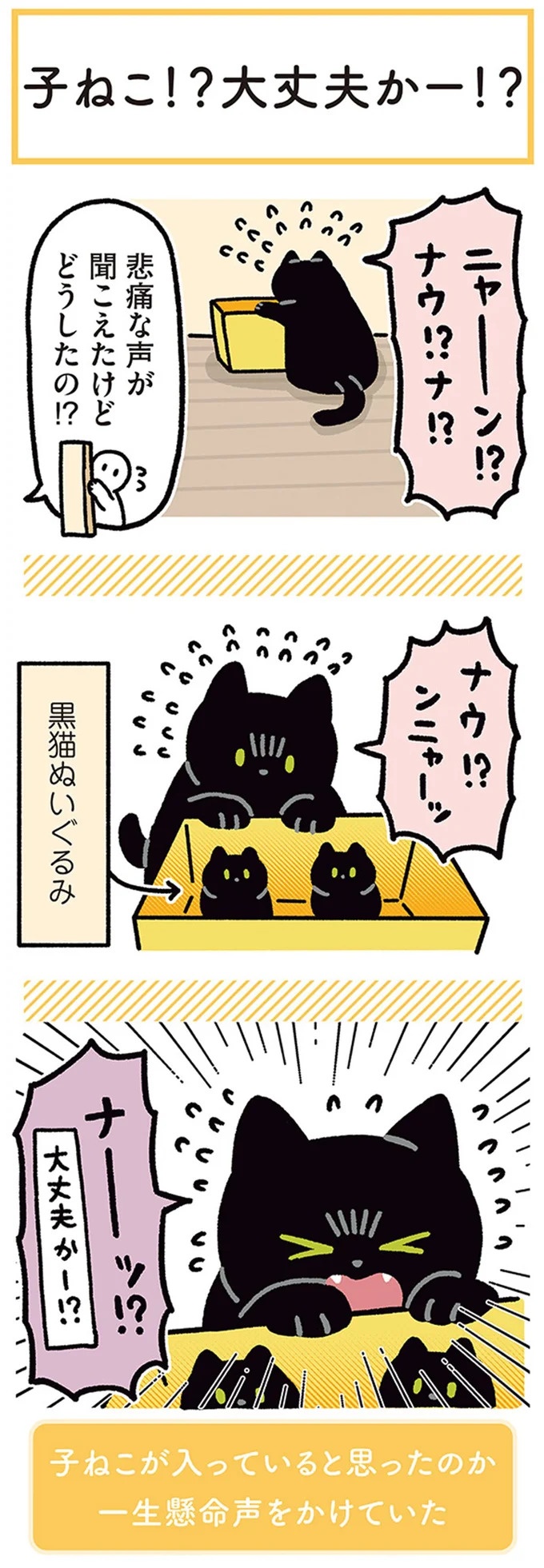 何!? どした!? 愛猫が午前3時に「ニャアアーン！」で飼い主を叩き起こす／黒猫ろんと暮らしたら3（画像139/157枚目）