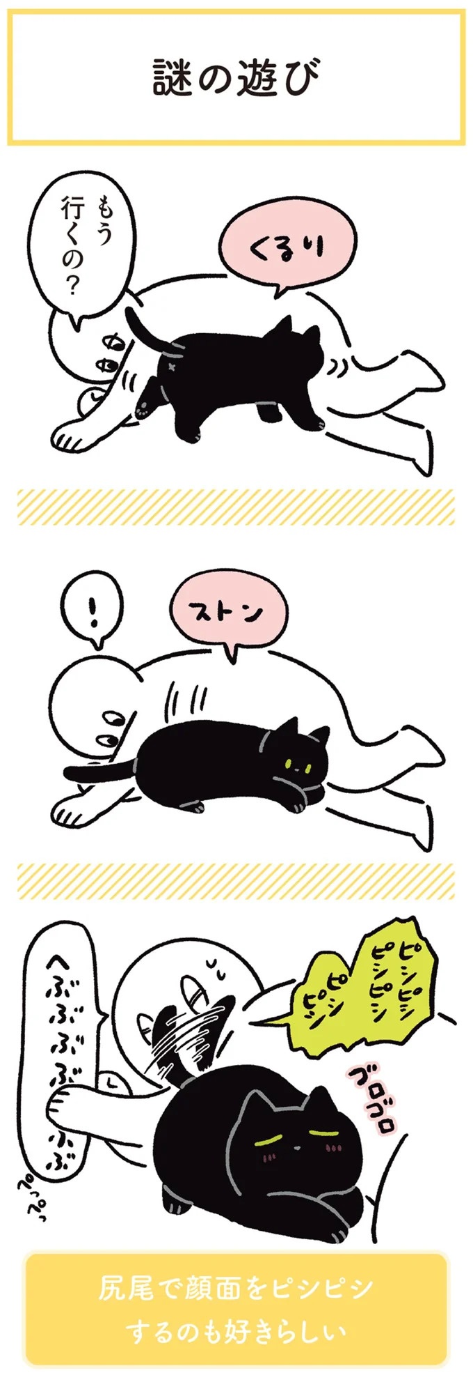 猫の近くで筋トレしてはいけない理由。しかも、「こんな顔」をする／黒猫ろんと暮らしたら3（画像3枚目）