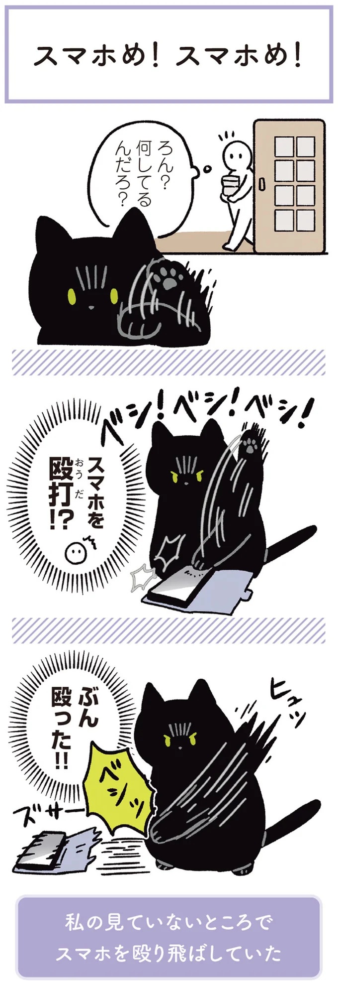 「じゃ～ん！ぼくです！」という顔の猫。外出の妨害できるのが確実にわかってる…／黒猫ろんと暮らしたら3（画像6/7枚目）