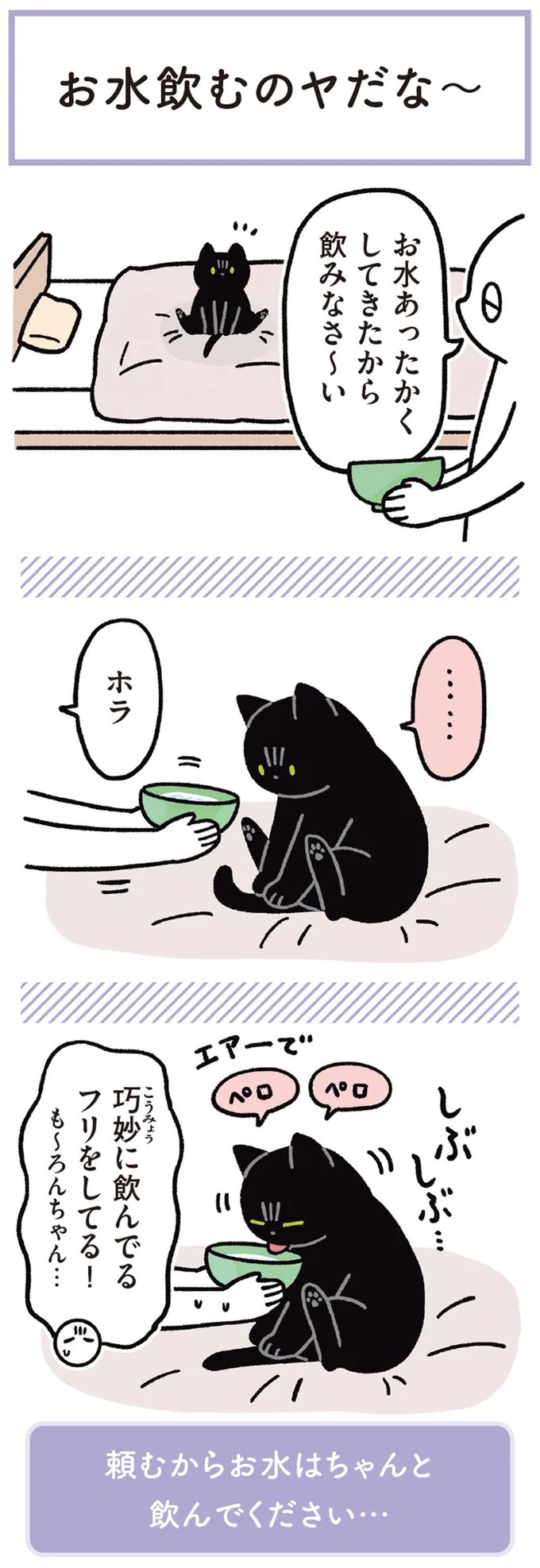 水を飲まない猫。飲んでほしい飼い主があったかくして差し出したら／黒猫ろんと暮らしたら3（画像4枚目）