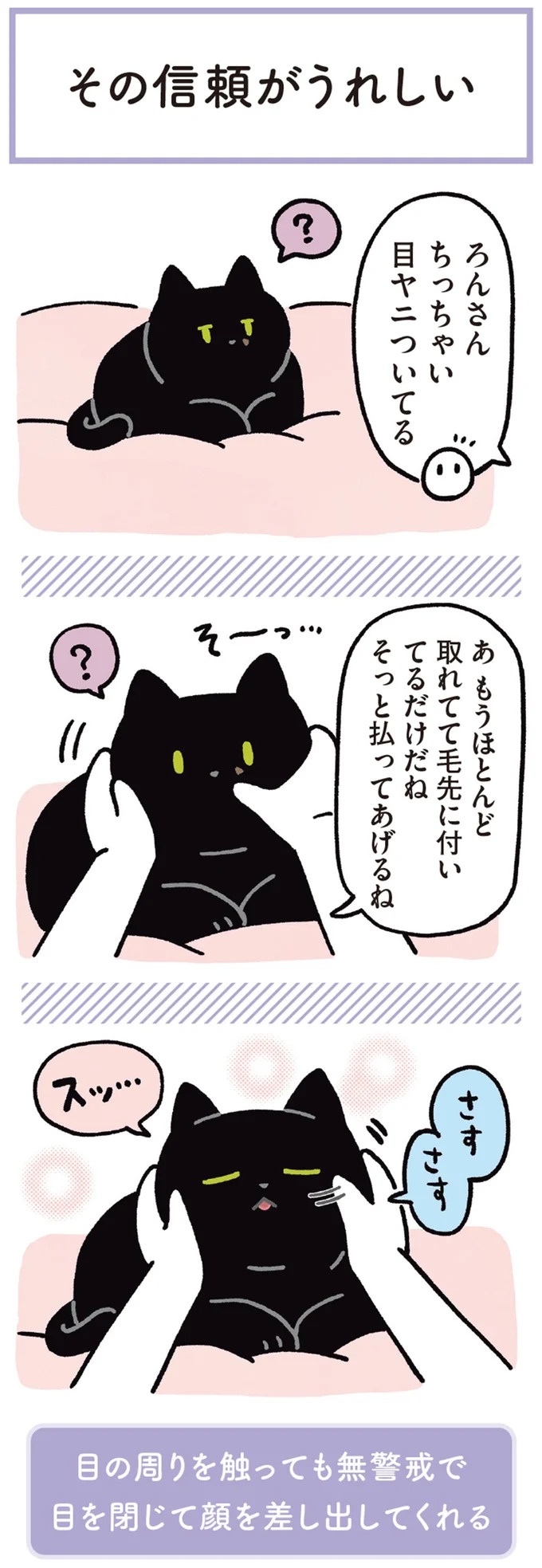 猫が抱っこされてることを忘れる⁉ 夢中になったものは…／黒猫ろんと暮らしたら3（画像4枚目）