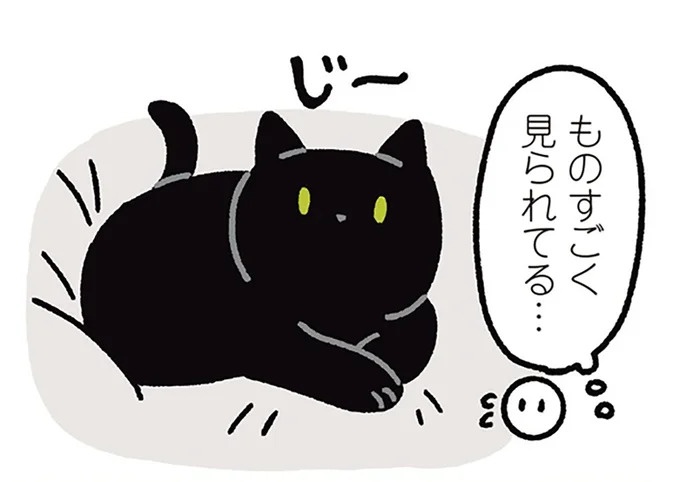 ゆっくり瞬きしている愛猫。動作が遅いだけ？ いえいえ、愛情表現確定！／黒猫ろんと暮らしたら3