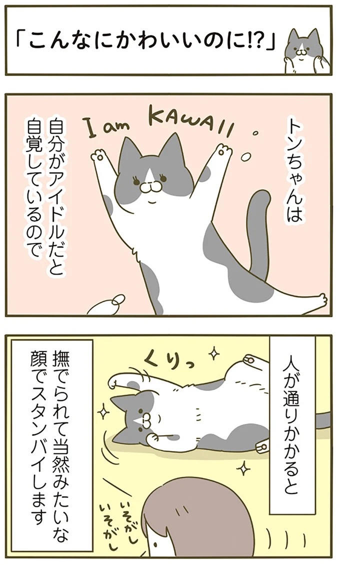うちの猫はお世話好き。仕事に集中できない飼い主が与えた代替は…／うちの猫がまた変なことしてる。5（画像4枚目）