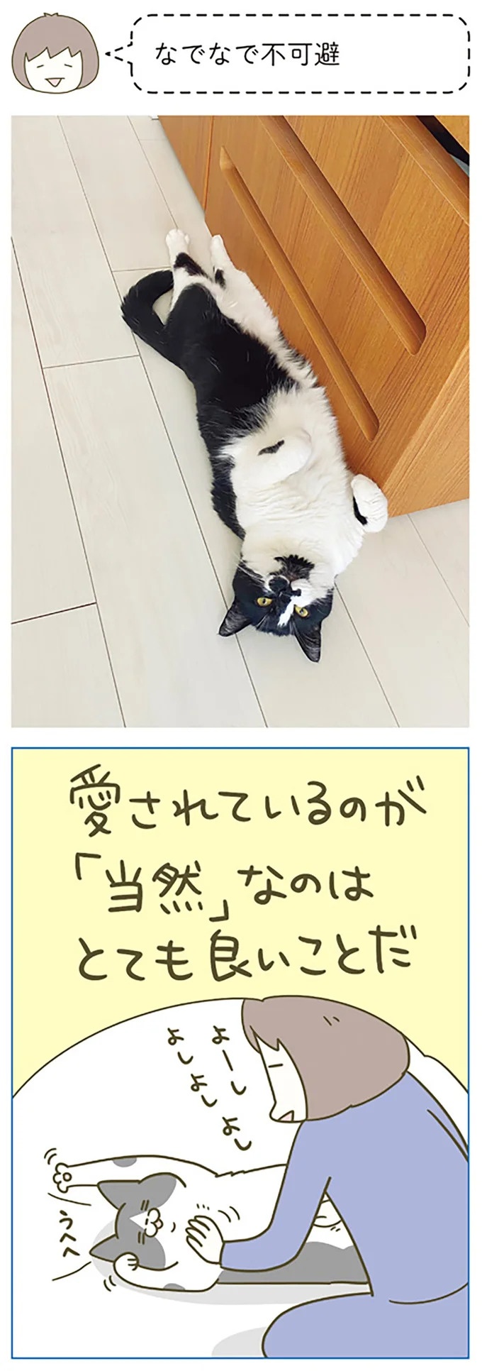うちの猫はお世話好き。仕事に集中できない飼い主が与えた代替は…／うちの猫がまた変なことしてる。5（画像7/137枚目）