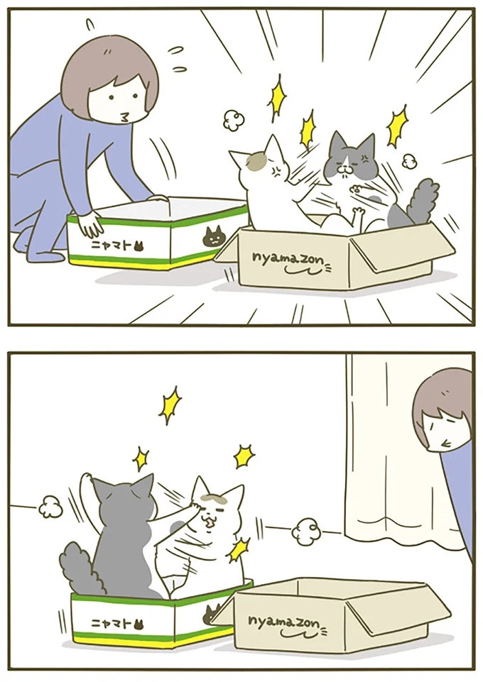 うちの猫はお世話好き。仕事に集中できない飼い主が与えた代替は…／うちの猫がまた変なことしてる。5（画像9/137枚目）