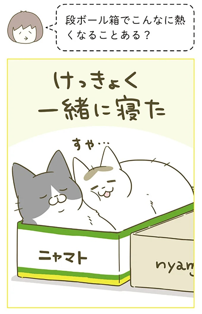 うちの猫はお世話好き。仕事に集中できない飼い主が与えた代替は…／うちの猫がまた変なことしてる。5（画像11/137枚目）