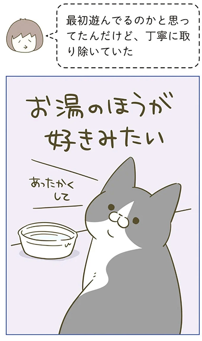 うちの猫はお世話好き。仕事に集中できない飼い主が与えた代替は…／うちの猫がまた変なことしてる。5（画像24/137枚目）