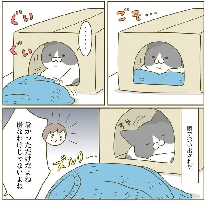 うちの猫はお世話好き。仕事に集中できない飼い主が与えた代替は…／うちの猫がまた変なことしてる。5（画像36/137枚目）