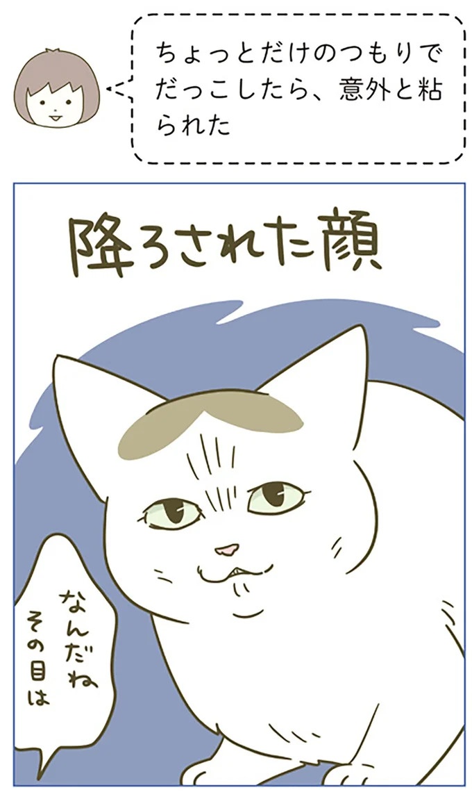 うちの猫はお世話好き。仕事に集中できない飼い主が与えた代替は…／うちの猫がまた変なことしてる。5（画像39/137枚目）