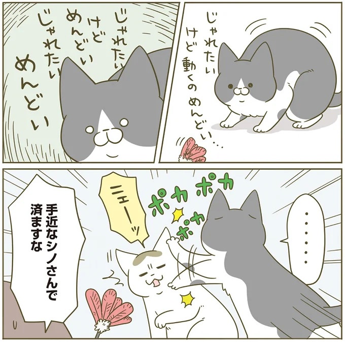うちの猫はお世話好き。仕事に集中できない飼い主が与えた代替は…／うちの猫がまた変なことしてる。5（画像48/137枚目）