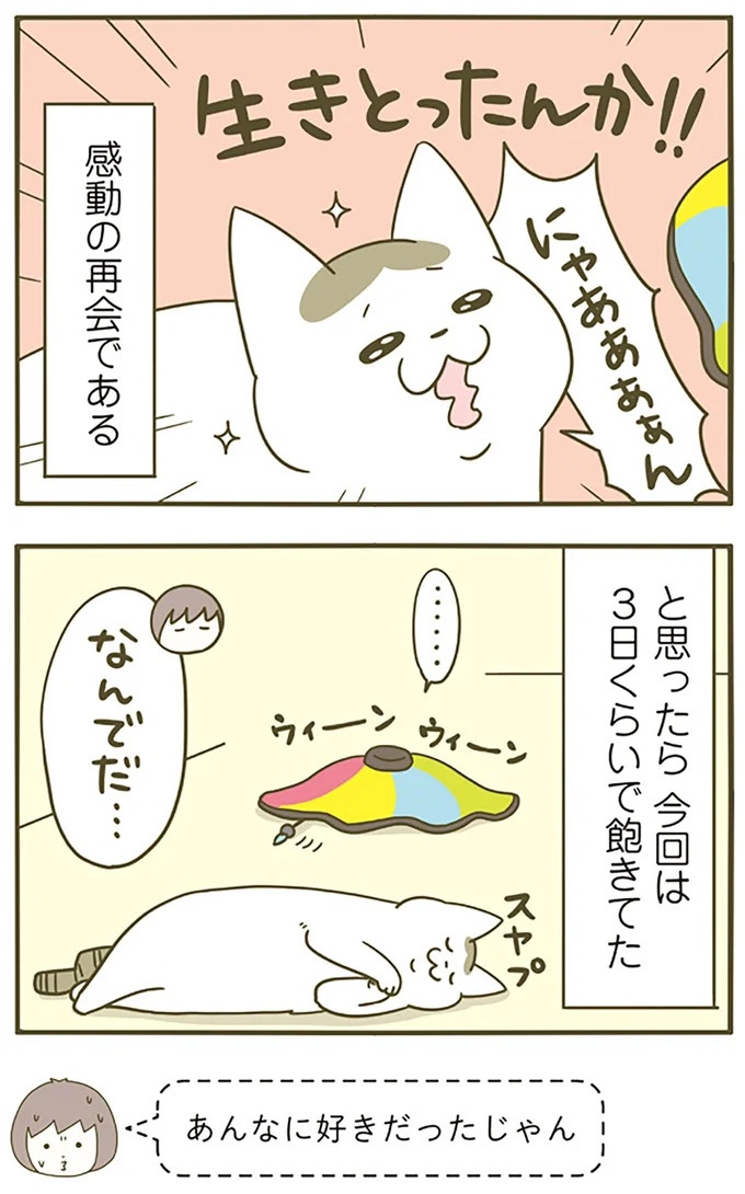 うちの猫はお世話好き。仕事に集中できない飼い主が与えた代替は…／うちの猫がまた変なことしてる。5（画像53/137枚目）