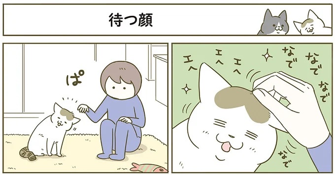 うちの猫はお世話好き。仕事に集中できない飼い主が与えた代替は…／うちの猫がまた変なことしてる。5（画像58/137枚目）