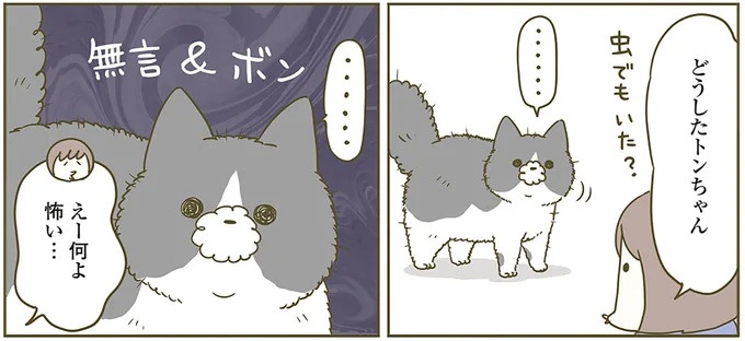 うちの猫はお世話好き。仕事に集中できない飼い主が与えた代替は…／うちの猫がまた変なことしてる。5（画像66/137枚目）