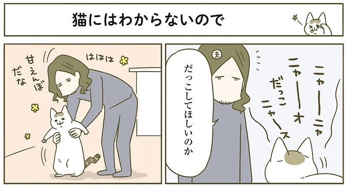 うちの猫はお世話好き。仕事に集中できない飼い主が与えた代替は…／うちの猫がまた変なことしてる。5（画像68/137枚目）