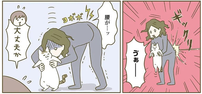 うちの猫はお世話好き。仕事に集中できない飼い主が与えた代替は…／うちの猫がまた変なことしてる。5（画像69/137枚目）