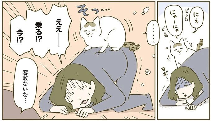 うちの猫はお世話好き。仕事に集中できない飼い主が与えた代替は…／うちの猫がまた変なことしてる。5（画像71/137枚目）