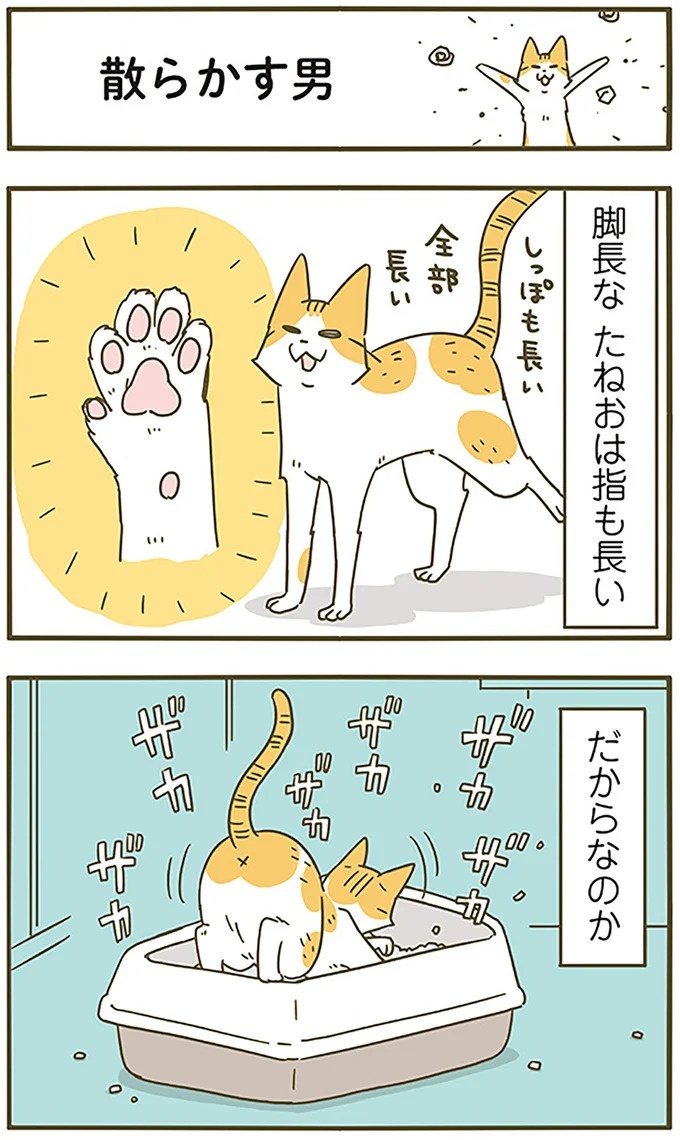 うちの猫はお世話好き。仕事に集中できない飼い主が与えた代替は…／うちの猫がまた変なことしてる。5（画像72/137枚目）