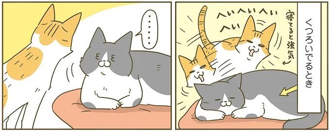 うちの猫はお世話好き。仕事に集中できない飼い主が与えた代替は…／うちの猫がまた変なことしてる。5（画像76/137枚目）