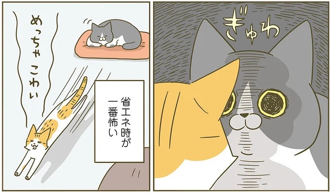 うちの猫はお世話好き。仕事に集中できない飼い主が与えた代替は…／うちの猫がまた変なことしてる。5（画像77/137枚目）