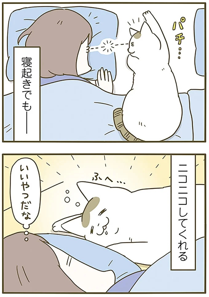 うちの猫はお世話好き。仕事に集中できない飼い主が与えた代替は…／うちの猫がまた変なことしてる。5（画像79/137枚目）