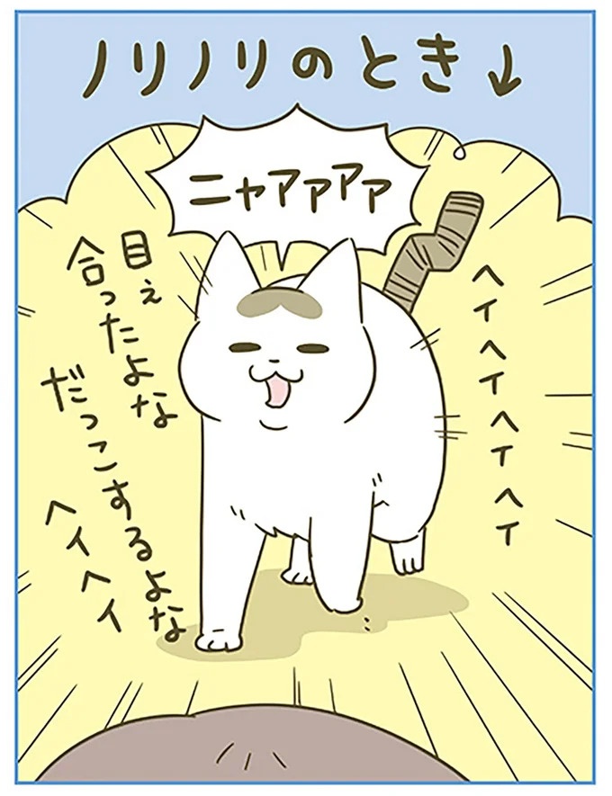 うちの猫はお世話好き。仕事に集中できない飼い主が与えた代替は…／うちの猫がまた変なことしてる。5（画像82/137枚目）
