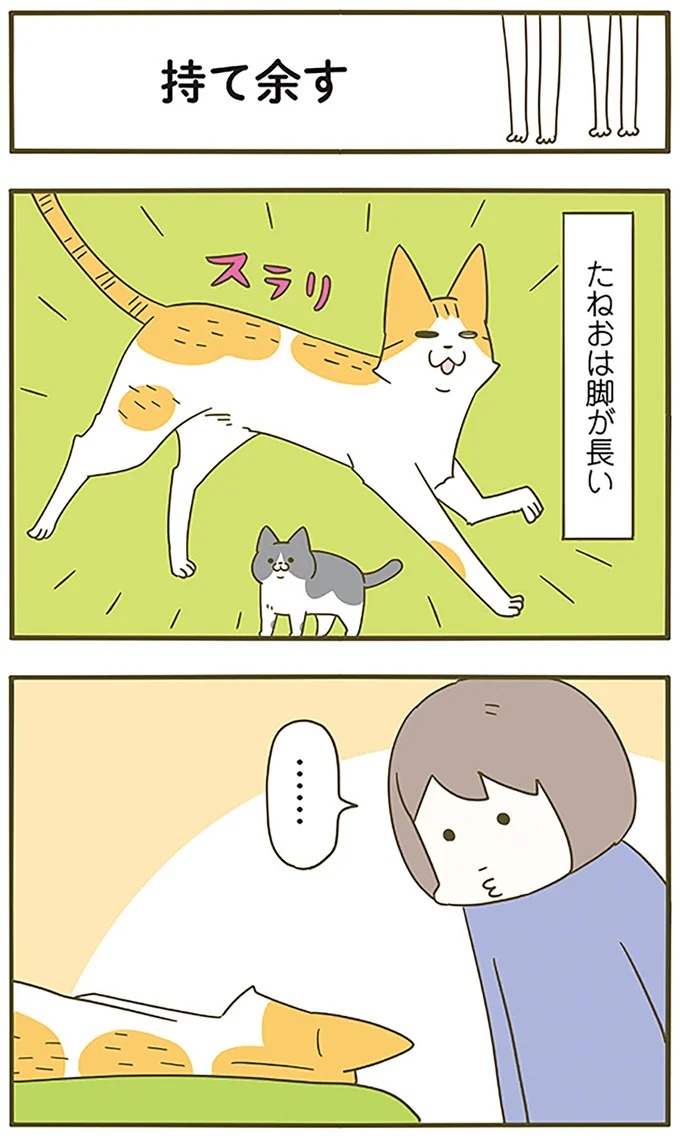 うちの猫はお世話好き。仕事に集中できない飼い主が与えた代替は…／うちの猫がまた変なことしてる。5（画像83/137枚目）
