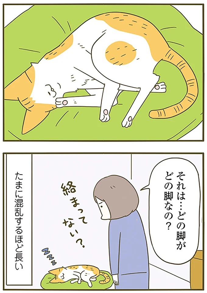 うちの猫はお世話好き。仕事に集中できない飼い主が与えた代替は…／うちの猫がまた変なことしてる。5（画像84/137枚目）