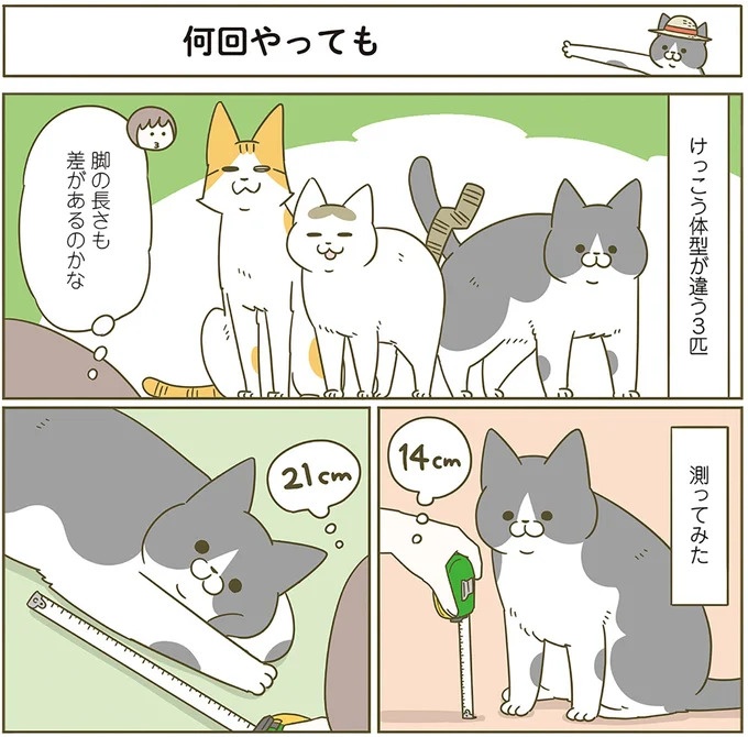うちの猫はお世話好き。仕事に集中できない飼い主が与えた代替は…／うちの猫がまた変なことしてる。5（画像88/137枚目）