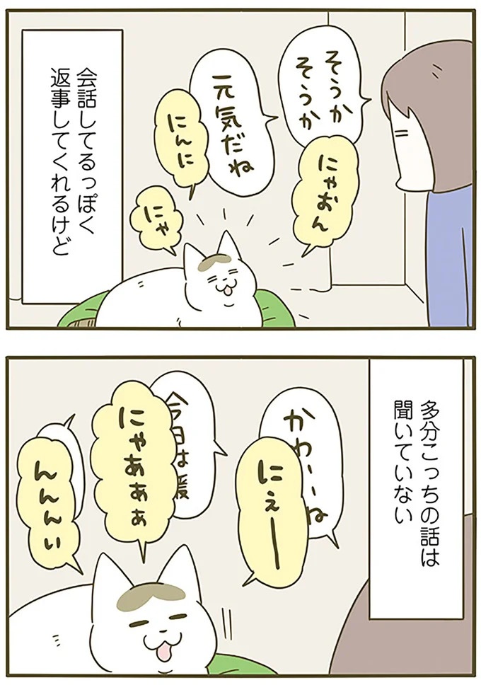 うちの猫はお世話好き。仕事に集中できない飼い主が与えた代替は…／うちの猫がまた変なことしてる。5（画像92/137枚目）