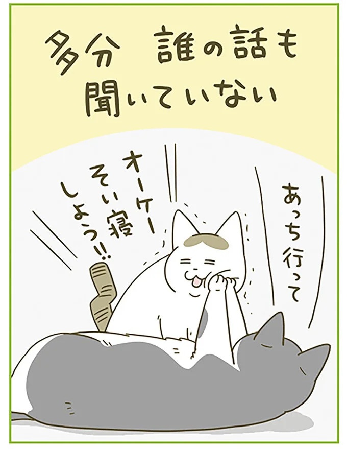 うちの猫はお世話好き。仕事に集中できない飼い主が与えた代替は…／うちの猫がまた変なことしてる。5（画像94/137枚目）