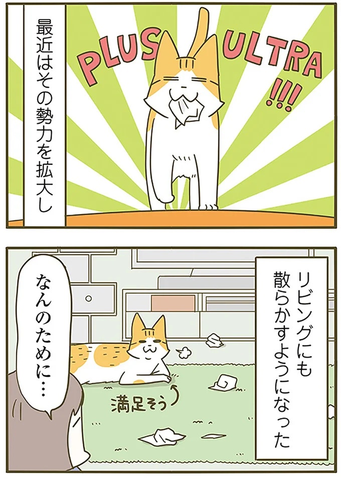 うちの猫はお世話好き。仕事に集中できない飼い主が与えた代替は…／うちの猫がまた変なことしてる。5（画像97/137枚目）