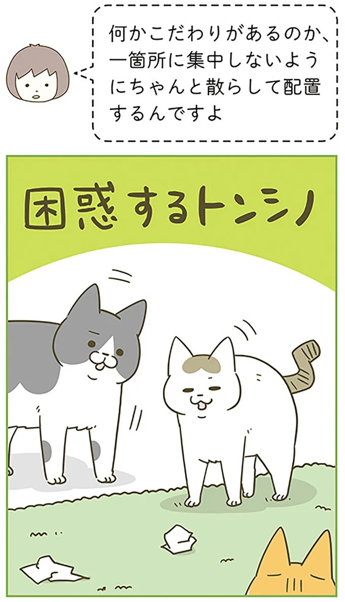 うちの猫はお世話好き。仕事に集中できない飼い主が与えた代替は…／うちの猫がまた変なことしてる。5（画像98/137枚目）